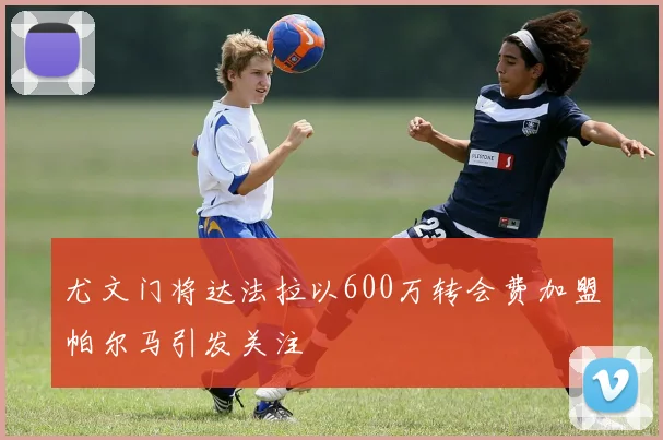 尤文门将达法拉以600万转会费加盟帕尔马引发关注